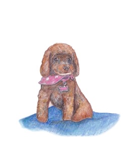 Illustration of Penny the dog by Deborah Grieder